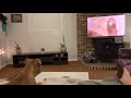 *WATCH* “Sympathizing with Simba” Our pitbull’s AMAZING reaction to Mufasa’s death in The Lion King