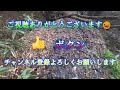 午後から向かう山深い岩魚の谷へ【南会津東部】