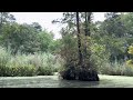 POV Kayaking in Munden Point Park in Virginia Beach makes wetlands look & feel like beautiful swamp