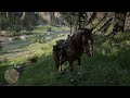 Red Dead Redemption 2 1440p:RTX 3090 FTW3 overclocked, i9 10900k, 32gb 3200mhz ram (see description)
