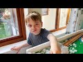 BRIO Snow Plow Train | Ollie's Adventures