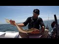 Catch and Cook on a Boat, ALONE!!!! California Halibut!