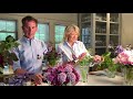 Flower arrangements with Martha Stewart and Baccarat