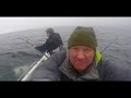 Fishing For Giant Skate In Scotland