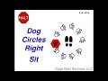 AKC Rally Excellent Sign #216 : HALT - Dog Circles Right - SIT