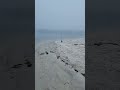 Walk on the beach kahntinued.....🕸