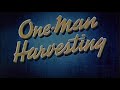 One Man Harvesting