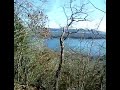 Looking down the steep embankment toward the Mississippi river