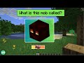 The Ultimate Minecraft Mob Quiz! ⛏️⚒️ CAN YOU GET 15/15?