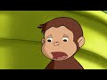 Curious George 🐵The Perfect Carrot  🐵 Kids Cartoon 🐵 Kids Movies | Videos for Kids