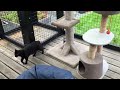 Catio  3.0 - By Beautiful World Living Environments