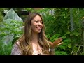 Connie grows more than a dozen types of berries in pots 🍒🍓 | Everyday | ABC Australia