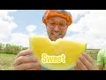 Learning Healthy Eating For Kids With Blippi At The Apple Factory  | Educational Videos For Toddlers