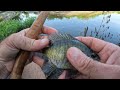 The Ditch On The Fly, Tenkara Fishing