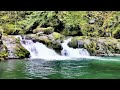 2 hours forest waterfall sound - relaxing water flowing sound to calm the mind & helps you sleep 😴