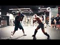 Conor Mcgregor Destroys Sparring Partners | Muscle Madness