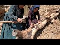 People in the Village Use Firewood Instead of Natural Gas _the village lifestyle of Iran