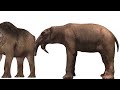(REMASTERED) Cenozoic Beasts Size Comparison