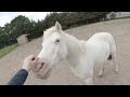 Get ready with me for a very scary ride - POV horse ride - This Esme AD