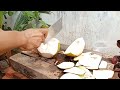 the easy to peel young coconut part 13#cuttingskills #coconutcuttingskills #youngcoconut#coconuttree