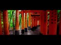 千本鳥居　～ Senbon Torii ～