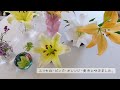 【babatamagoの庭】久しぶりの庭シリーズ！春のお花爆買いです。