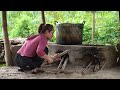 2 year living in forest, raising and harvesting dried bamboo shoots to sell at the market