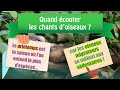 BLIND TEST : 30 chants d'Oiseaux du Jardin (Pour ne rien rater du printemps 2024 !)