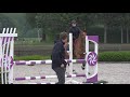 Trying Horses in Belgium - Trying to Find My New Horse!