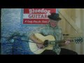 Lowden 12 Fret F-35c Guitar Demo at Bluedog Guitars