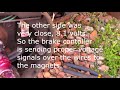 Electric trailer brake diagnosis