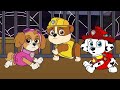 No...Chase , Please Don't Give Up - Mermaid Skye is so Sad - Paw Patrol Ultimate Rescue | Rainbow