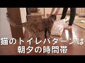 過酷な猛暑で異変がおきた。汗っかき主婦の一日ルーティン