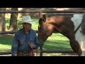 Ride Smart with Craig Cameron: Working with an Older Horse Part 1