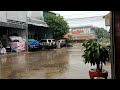 rain again #rainyday #rainyseason #lowseason #phnompenh