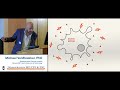 ME/CFS at the Intersection of the Nervous & Immune Systems (Lecture) - Michael VanElzakker, PhD