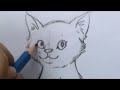 How to draw a basic cat sitting