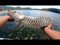 Tiger Muskie Fishing in Colorado