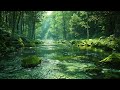 Mindful Rain Meditation: 3 Hours of Soothing Rain Sounds ASMR for Deep Relaxation, Focus, and Sleep