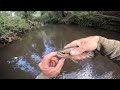 Awesome Autumn Trout Fishing Action