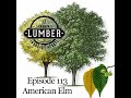 113 The Elm Episode