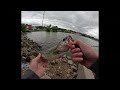 Fishing an harbor in Iowa. Caught multiple species!