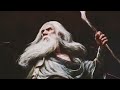 Fall To Tyranny | Gandalf as The Lord of the Rings