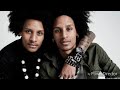 LES TWINS _ ADELE _ SKYFALL (Official remix) [music]