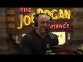 Joe Rogan Experience #1951 - Coffeezilla