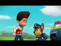 PAW Patrol ¡Ryder llama a los cachorros de PAW Patrol a la Torre de control! | Nick Jr. en Español