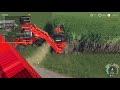 SUGARCANE FARMING & CANDY FACTORY?! - Farming Simulator 19 Multiplayer Mod Gameplay