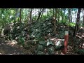 Virtual Walk Burleigh Heads National Park - 4K - Gold Coast Australia - Treadmill Background