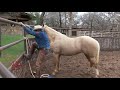 What to do when your horse sits back