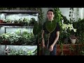 How to Use Normal LED Lights as Grow Lights | Avoid the Industry Markup